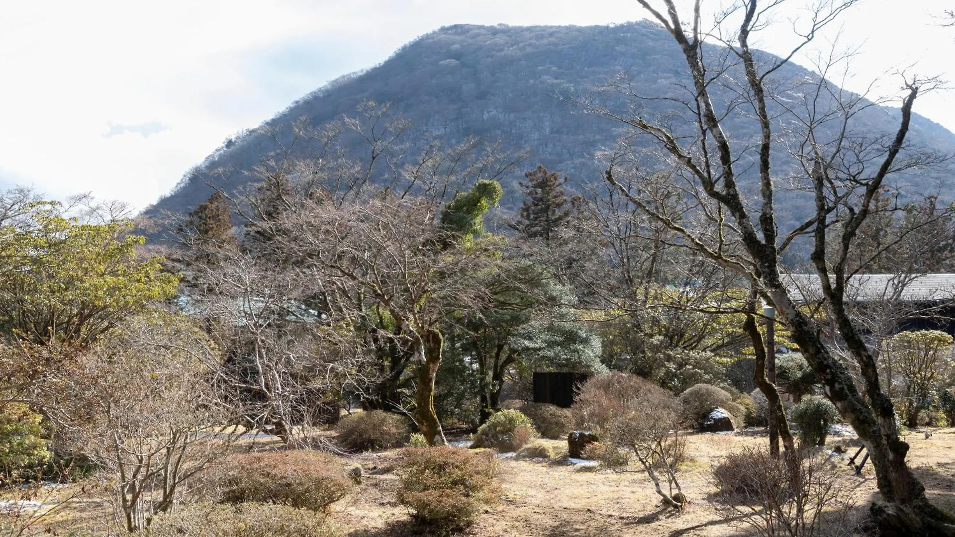 Matsuzakaya Honten Hakone Ryokan