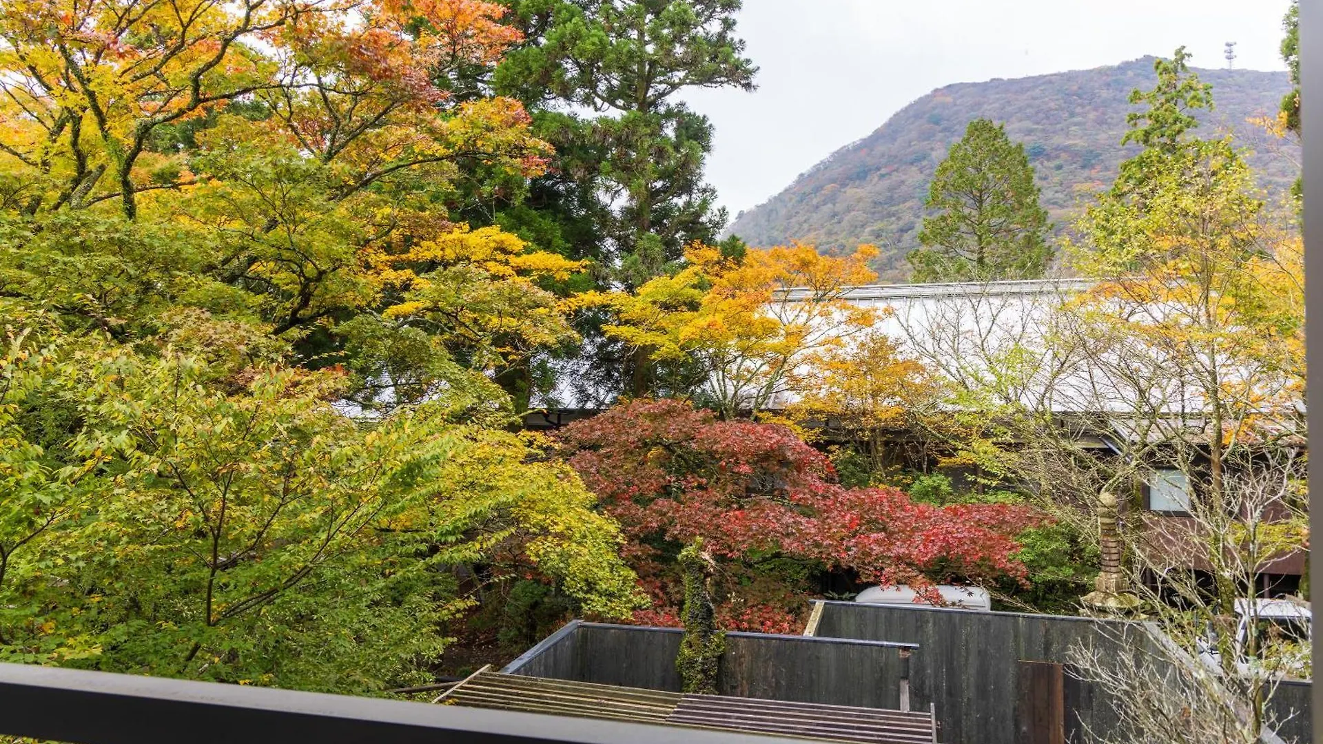 Matsuzakaya Honten Hakone 4*,